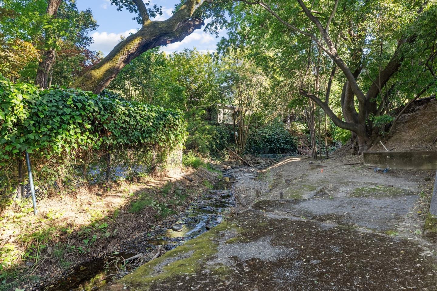 410 Fulton Road San Mateo, CA 94402 - Photo 46 of 49 a view of a forest filled with trees
