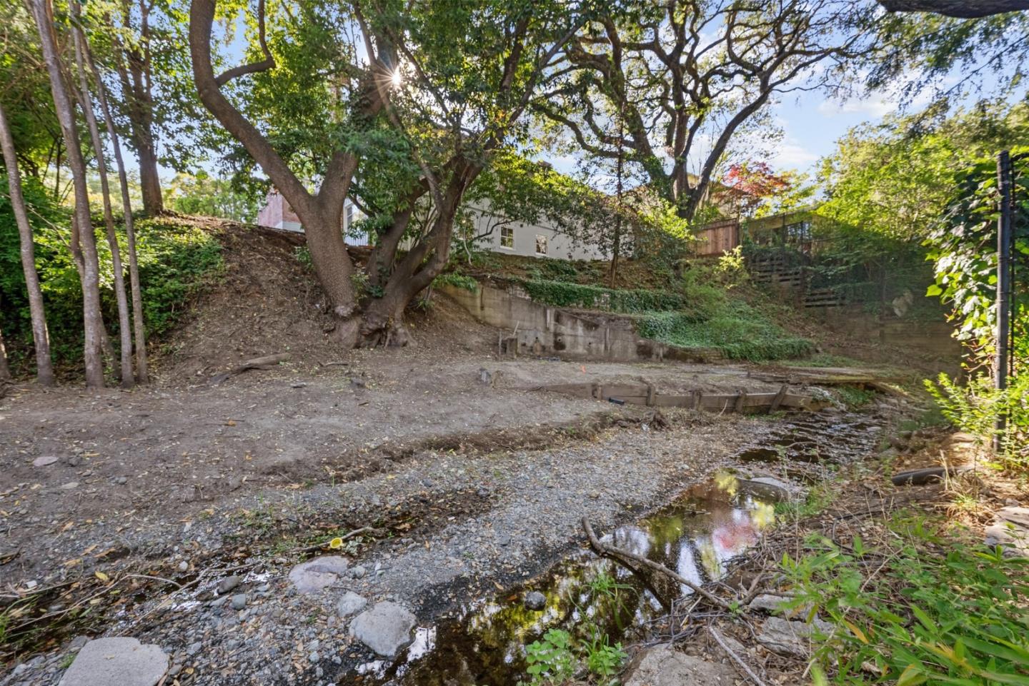 410 Fulton Road San Mateo, CA 94402 - Photo 49 of 49 a view of a yard with plants and trees
