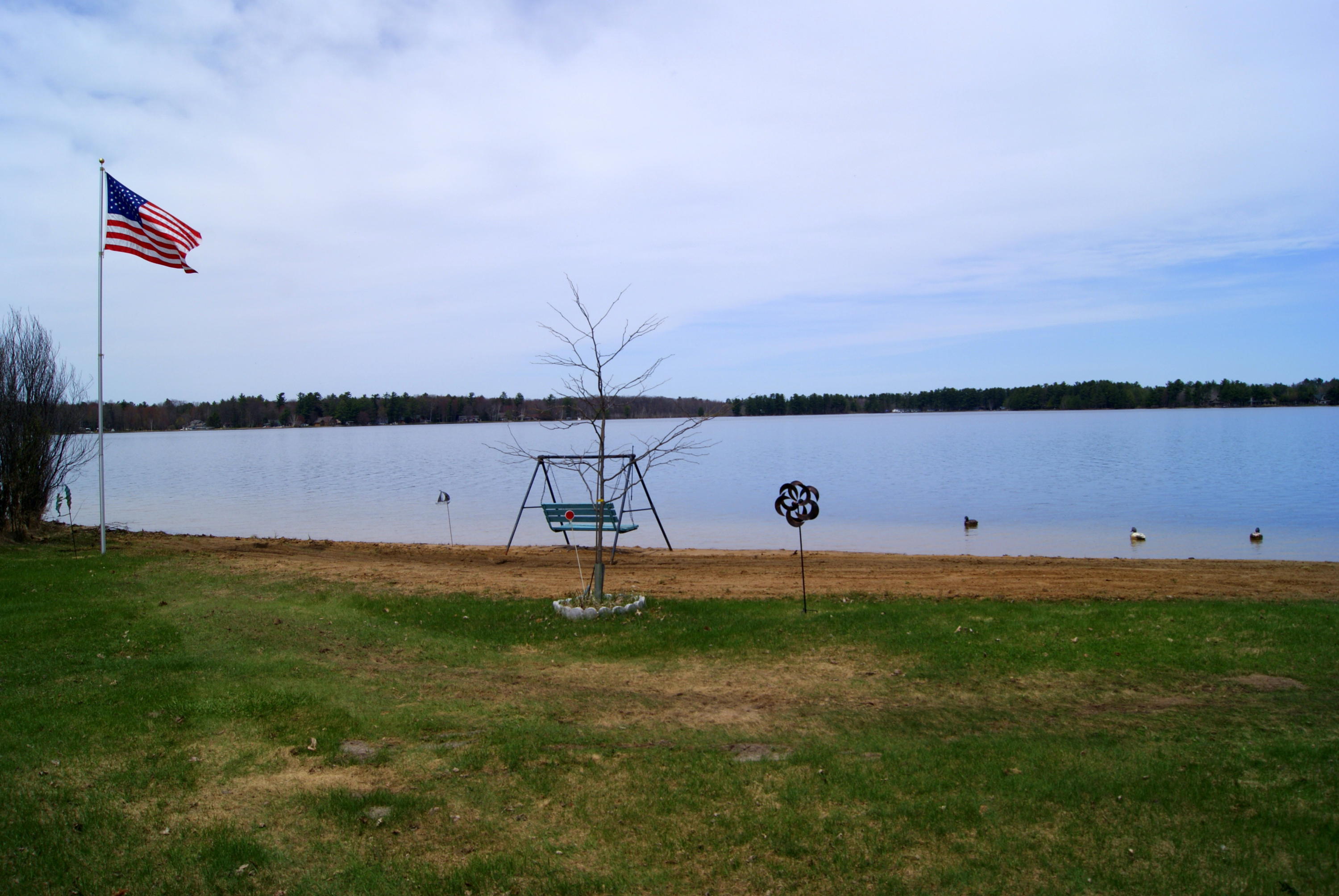 Gallery Image 7