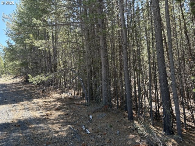 27 Surveyor Road Crescent Lake, OR 97733 - Photo 8 of 10