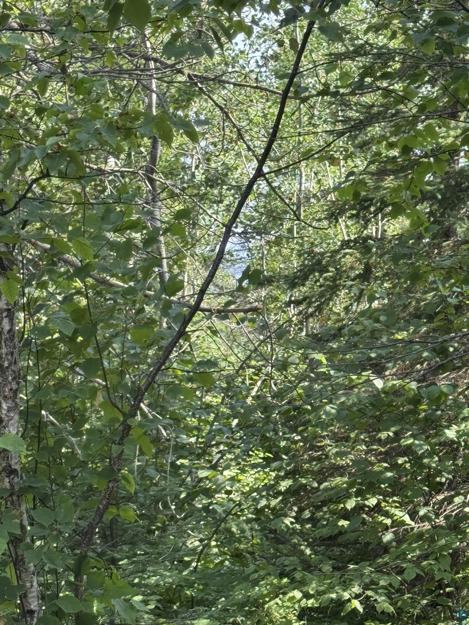 Xx Xx High Ridge Drive Silver Bay, MN 55614 - Photo 11 of 29