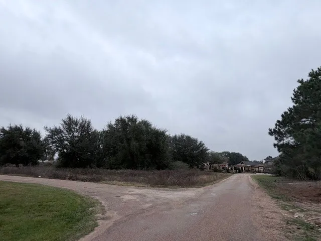 a view of an outdoor space and yard