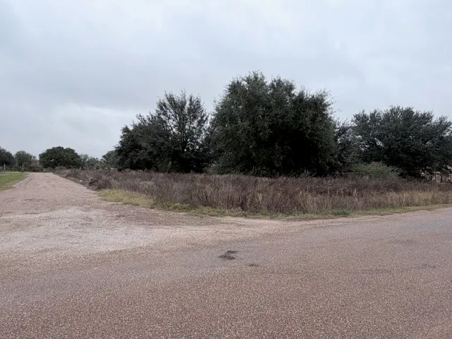 a view of a field with trees in the background