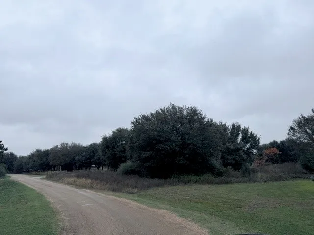 a view of a field with trees in background