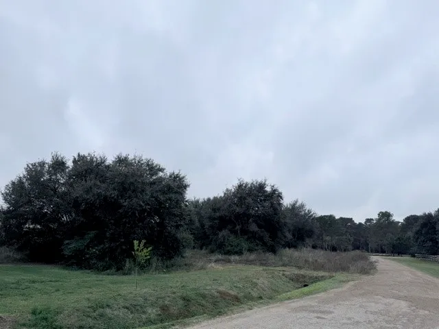 a view of a field with trees in background