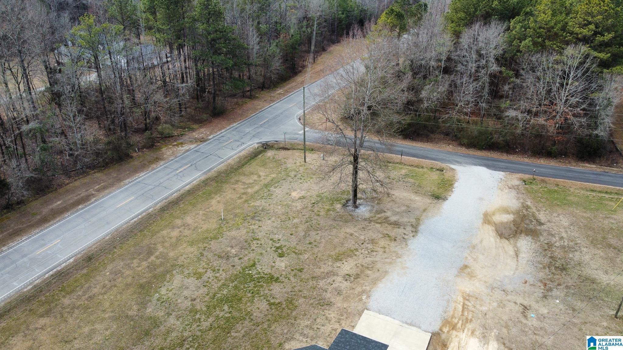 18 Hickory Road Ragland, AL 35131 - Photo 77 of 79