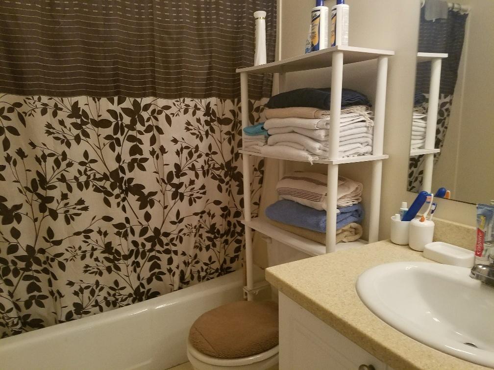 2007 Oleander Boulevard, Unit B Fort Pierce, FL 34950 - Photo 16 of 17 a bathroom with a sink toilet and shower