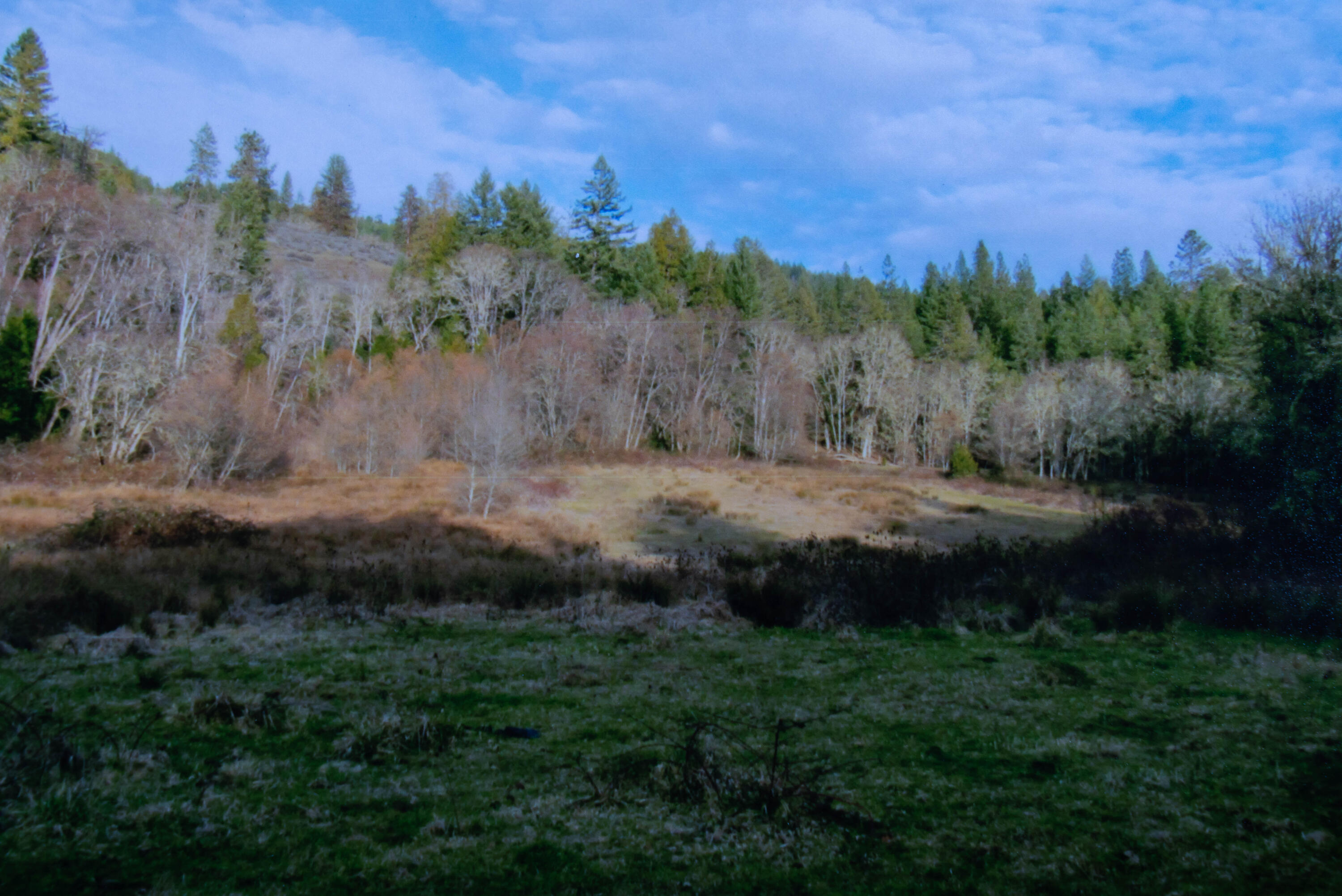 0 Cobleigh Road Eagle Point, OR 97524 - Photo 3 of 6 view
