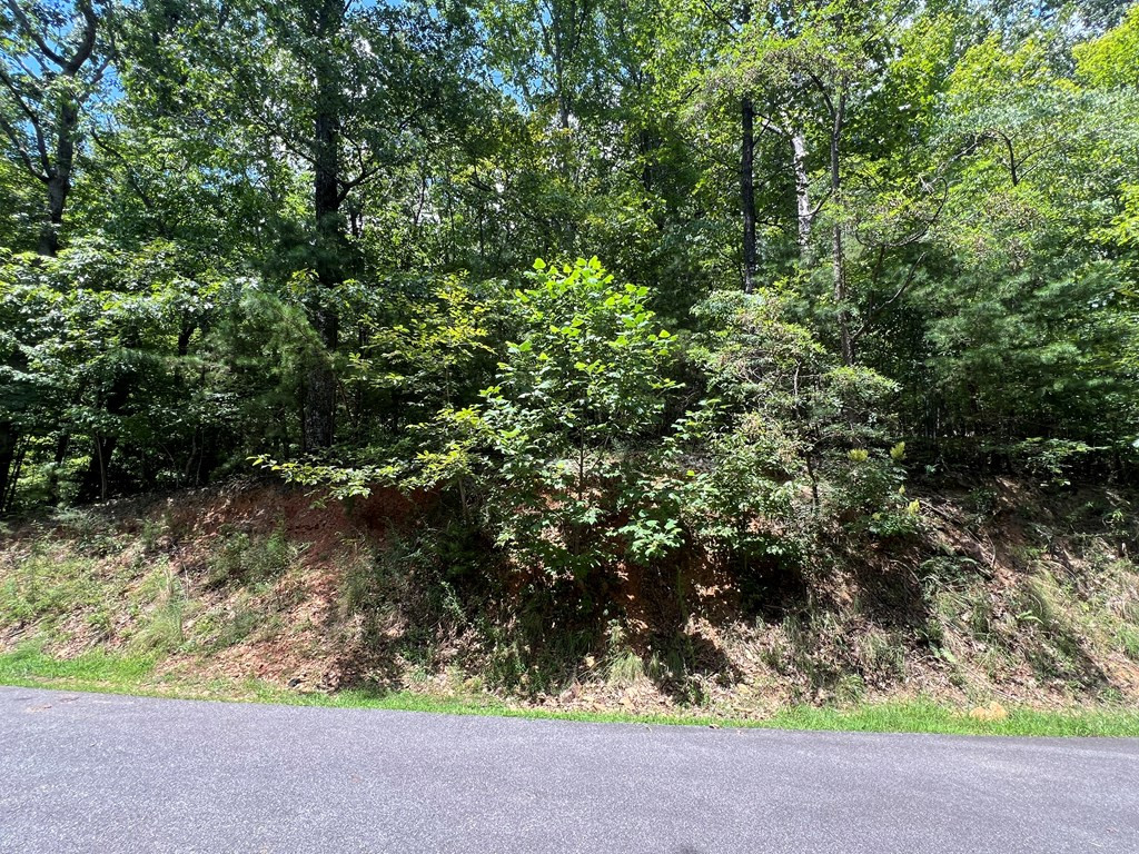 Lot 32 Mission Ridge Hayesville, NC 28904 - Photo 9 of 11