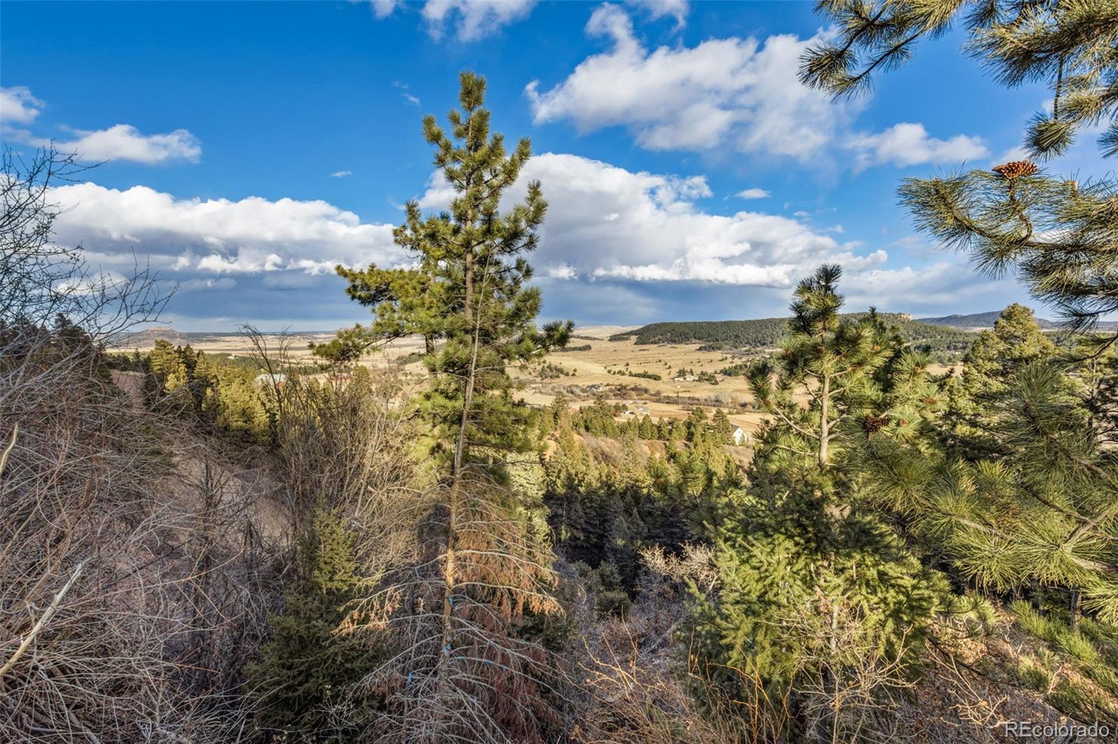 Mountain Ranch Road Larkspur, CO 80118 - Photo 12 of 17 a view of a tree with a yard