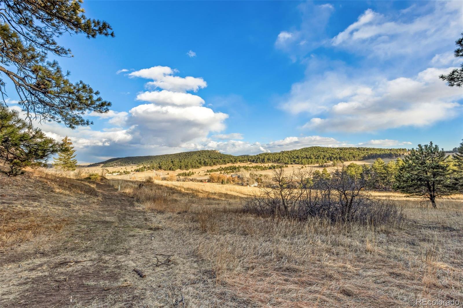 Mountain Ranch Road Larkspur, CO 80118 - Photo 15 of 17 a view of a lake with a beach