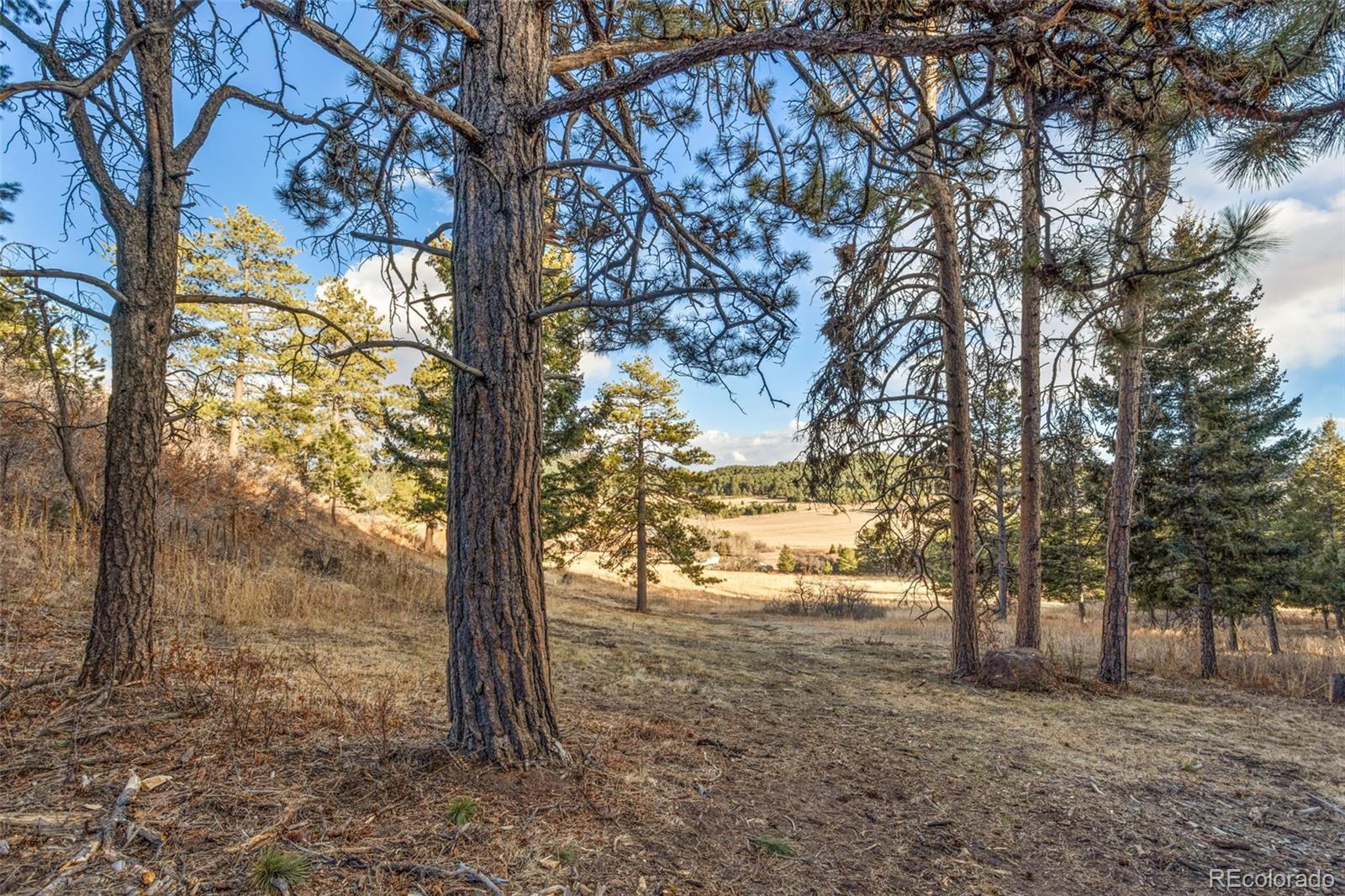 Mountain Ranch Road Larkspur, CO 80118 - Photo 16 of 17 a view of a yard with trees