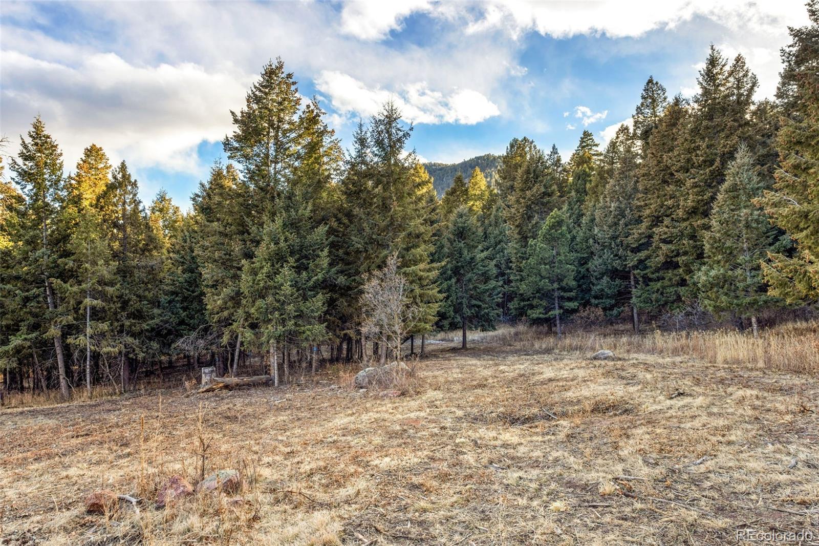 Mountain Ranch Road Larkspur, CO 80118 - Photo 5 of 17 a view of backyard with green space
