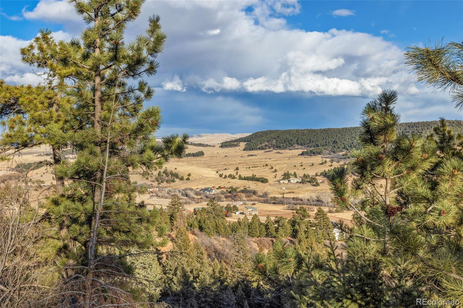 Mountain Ranch Road Larkspur, CO 80118 - Photo 7 of 17 a view of outside area