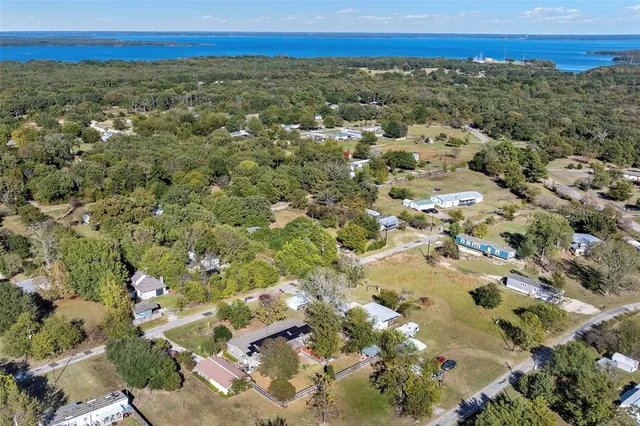 a view of a yard with plants and trees