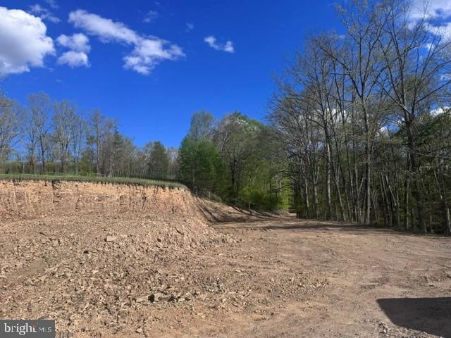 Tbd Shaffers Run Road Mill Creek, WV 26280 - Photo 16 of 43