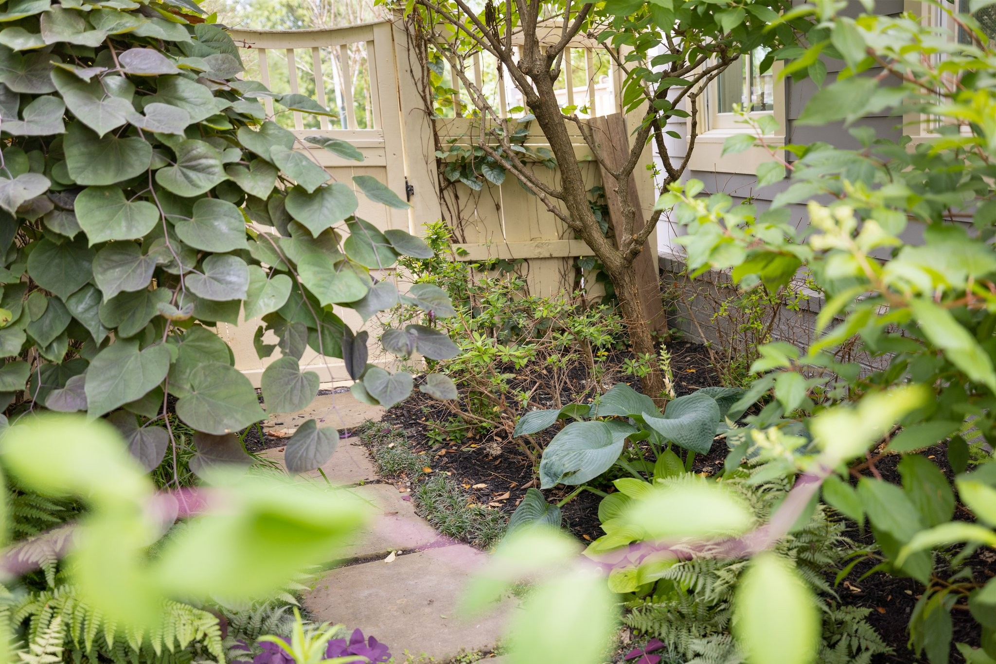 2019 Tabitha Drive Franklin, TN 37064 - Photo 59 of 69