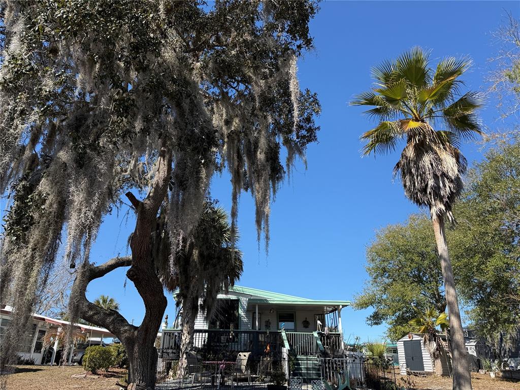 9408 Cougar Drive Weeki Wachee, FL 34613 - Photo 19 of 27 a view of a house with a tree in front of it