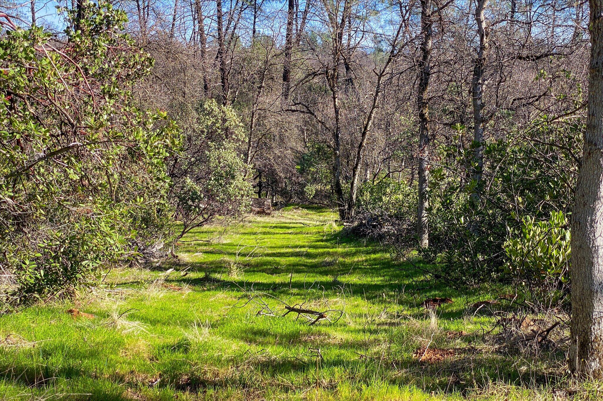 1 Silver King Road Redding, CA 96001 - Photo 11 of 21 11-BiggerFlow Real Estate Media-11