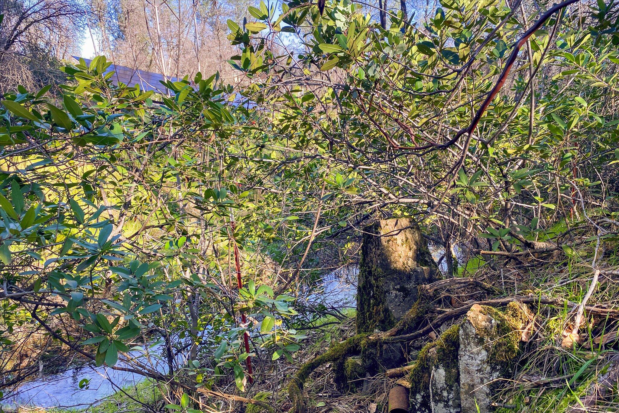 1 Silver King Road Redding, CA 96001 - Photo 12 of 21 12-BiggerFlow Real Estate Media-12