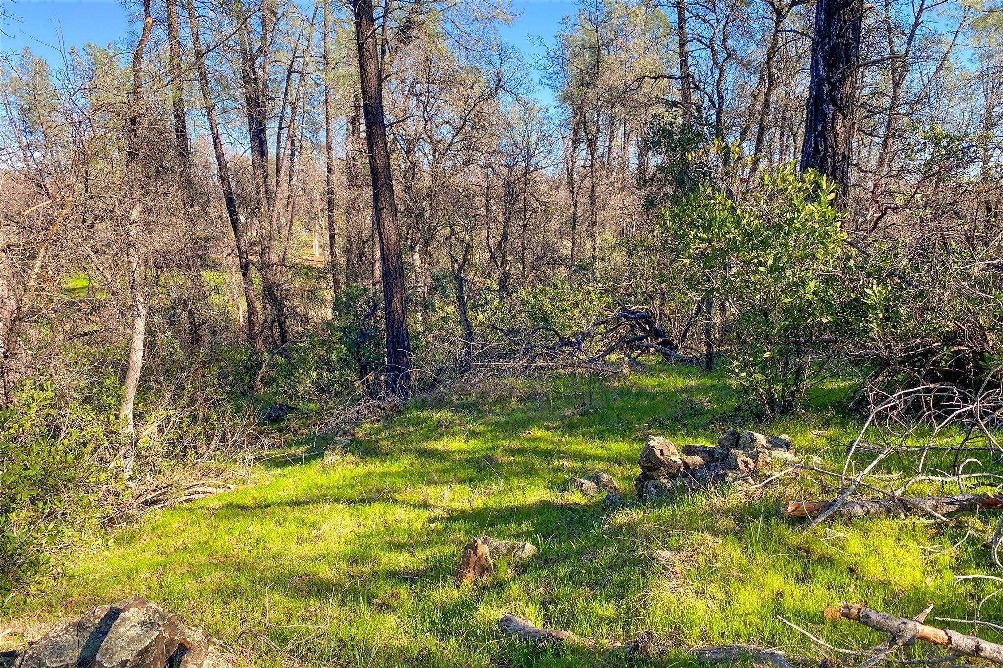 1 Silver King Road Redding, CA 96001 - Photo 15 of 21 15-BiggerFlow Real Estate Media-15