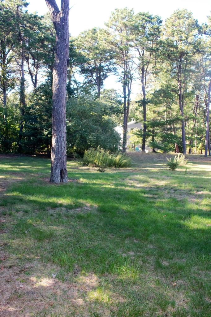 8 Edward Kelly Road East Sandwich, MA 02537 - Photo 16 of 16 Additional Photo