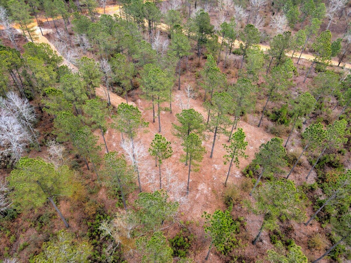 0 Deer Run Road, Unit F2 Williston, SC 29853 - Photo 1 of 24 Gallery Image 1