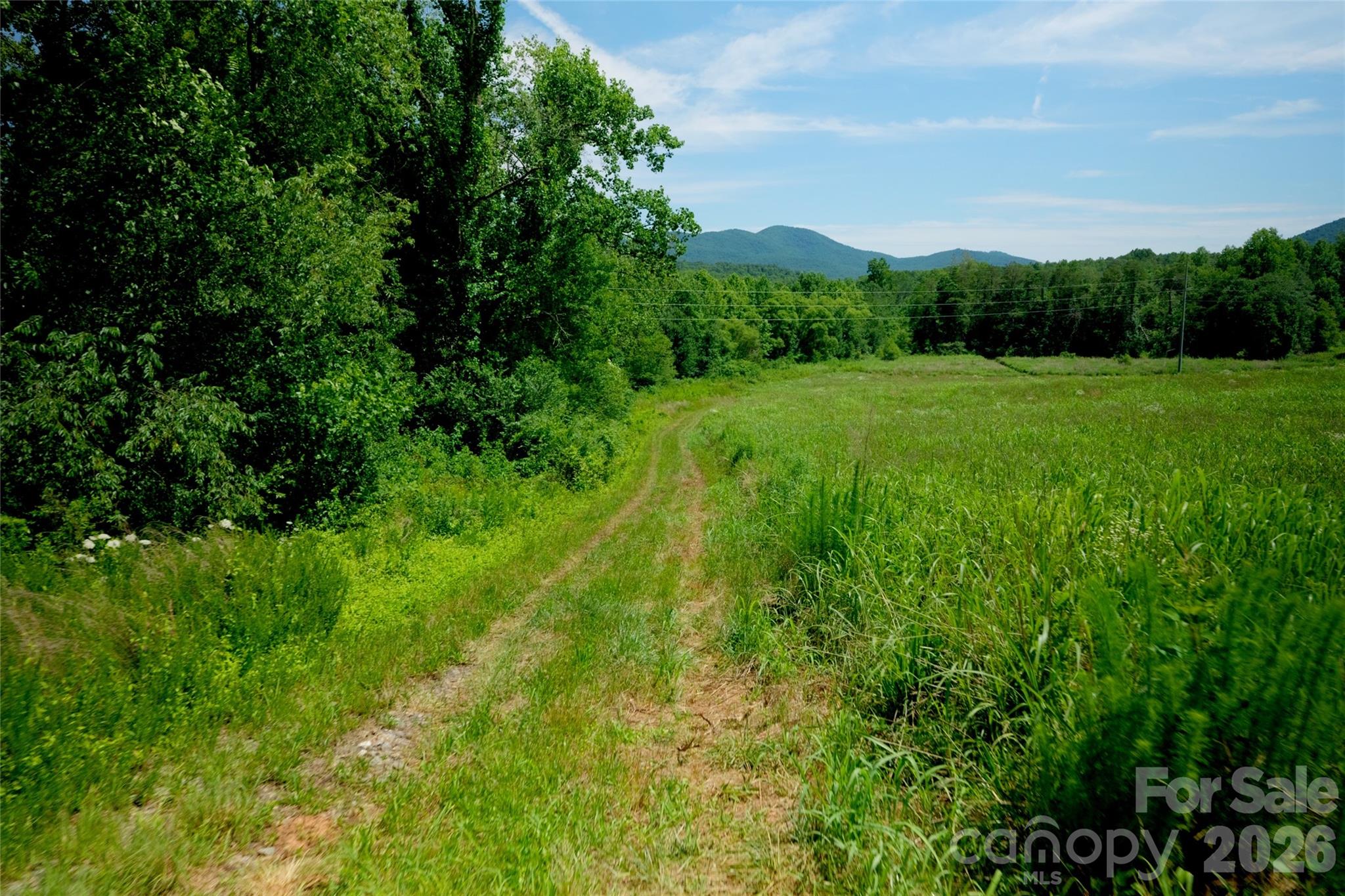 2 Morrison Road, Unit 2 Morganton, NC 28655 - Photo 3 of 11