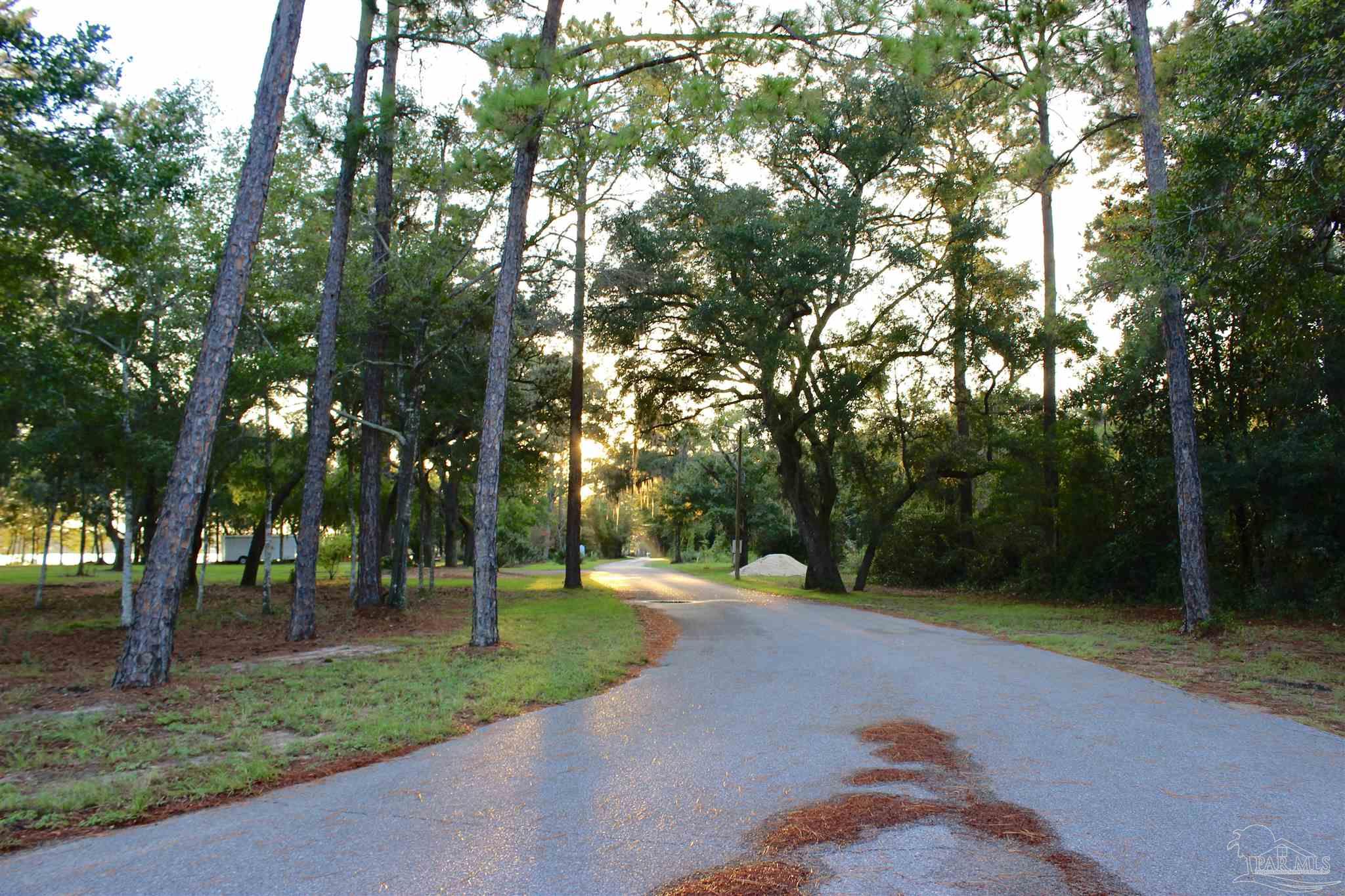 7809 Petersen Point Road Milton, FL 32583 - Photo 29 of 33 a park view with large trees
