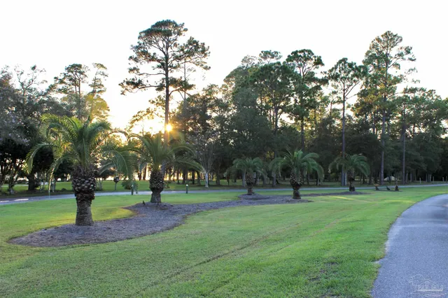 a view of a bench in a garden