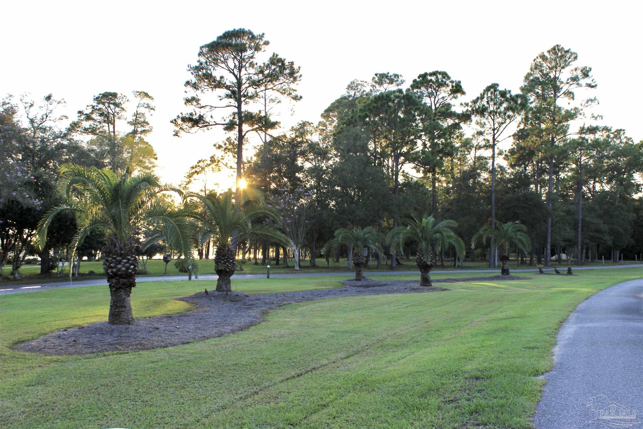 7809 Petersen Point Road Milton, FL 32583 - Photo 30 of 33 a park with lots of trees and plants