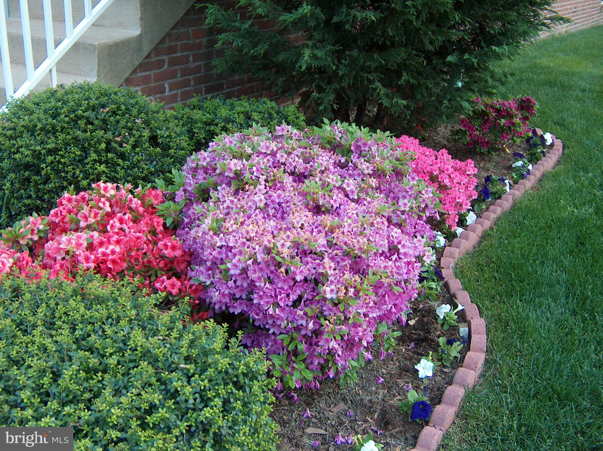 131 Roland Court Southwest Vienna, VA 22180 - Photo 3 of 27 Enjoy beautiful English gardens