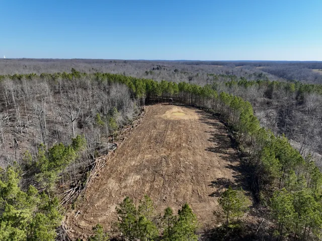 a view of a dry yard with lots of trees