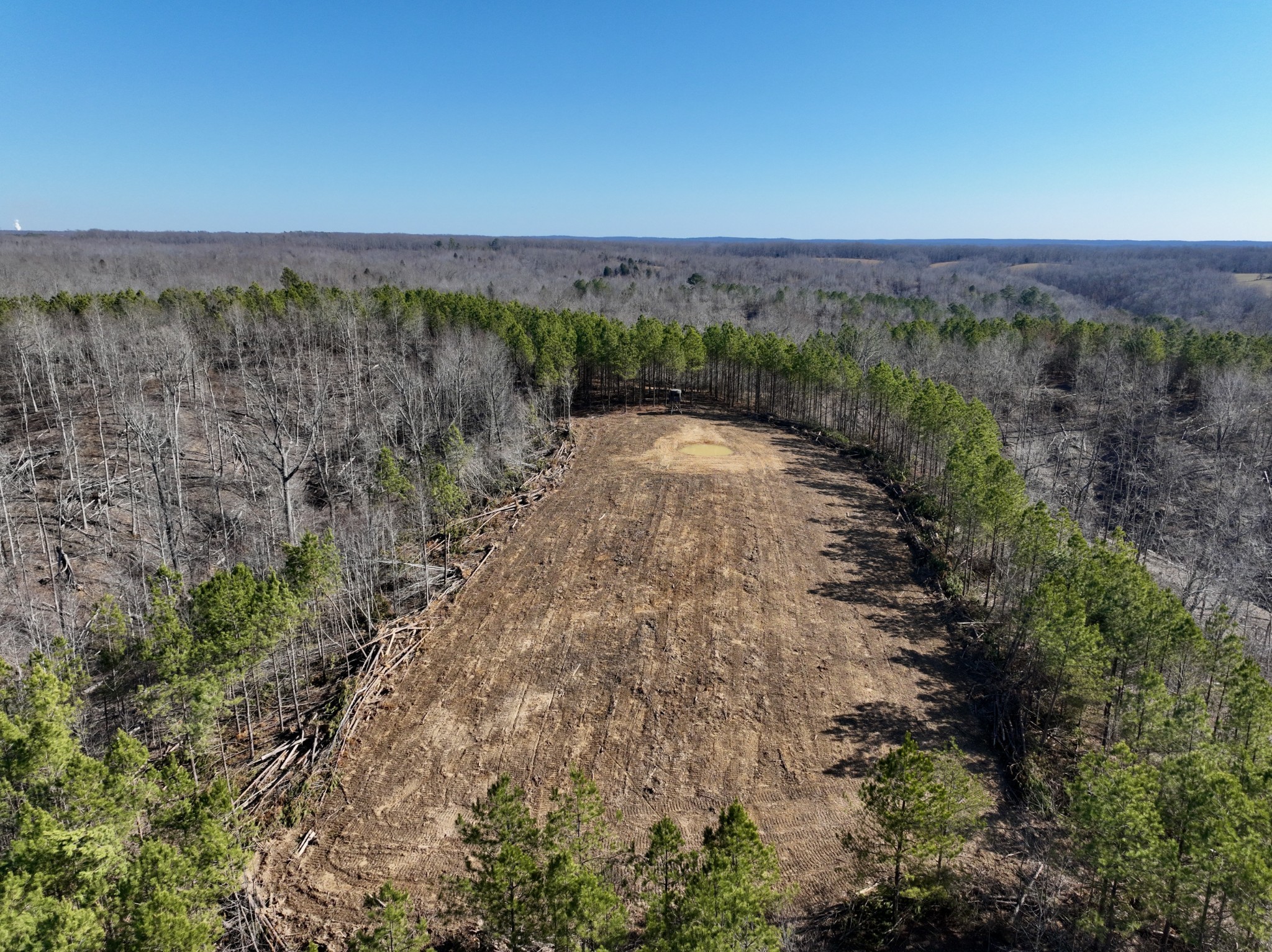 a view of a dry yard with lots of trees