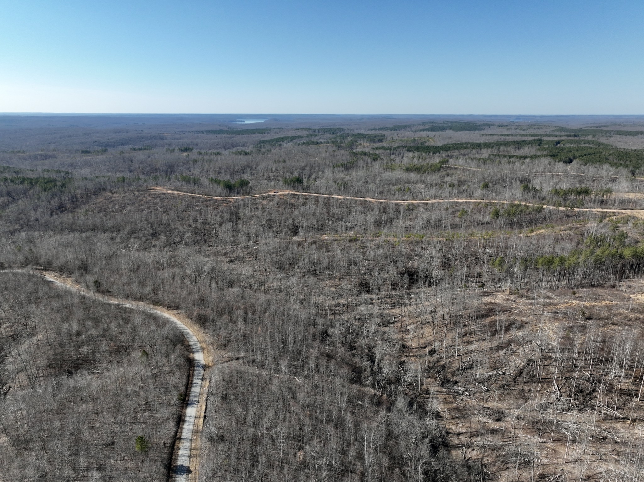 0 Cooley Ford Road Stewart, TN 37175 - Photo 17 of 32 a view of a dry yard