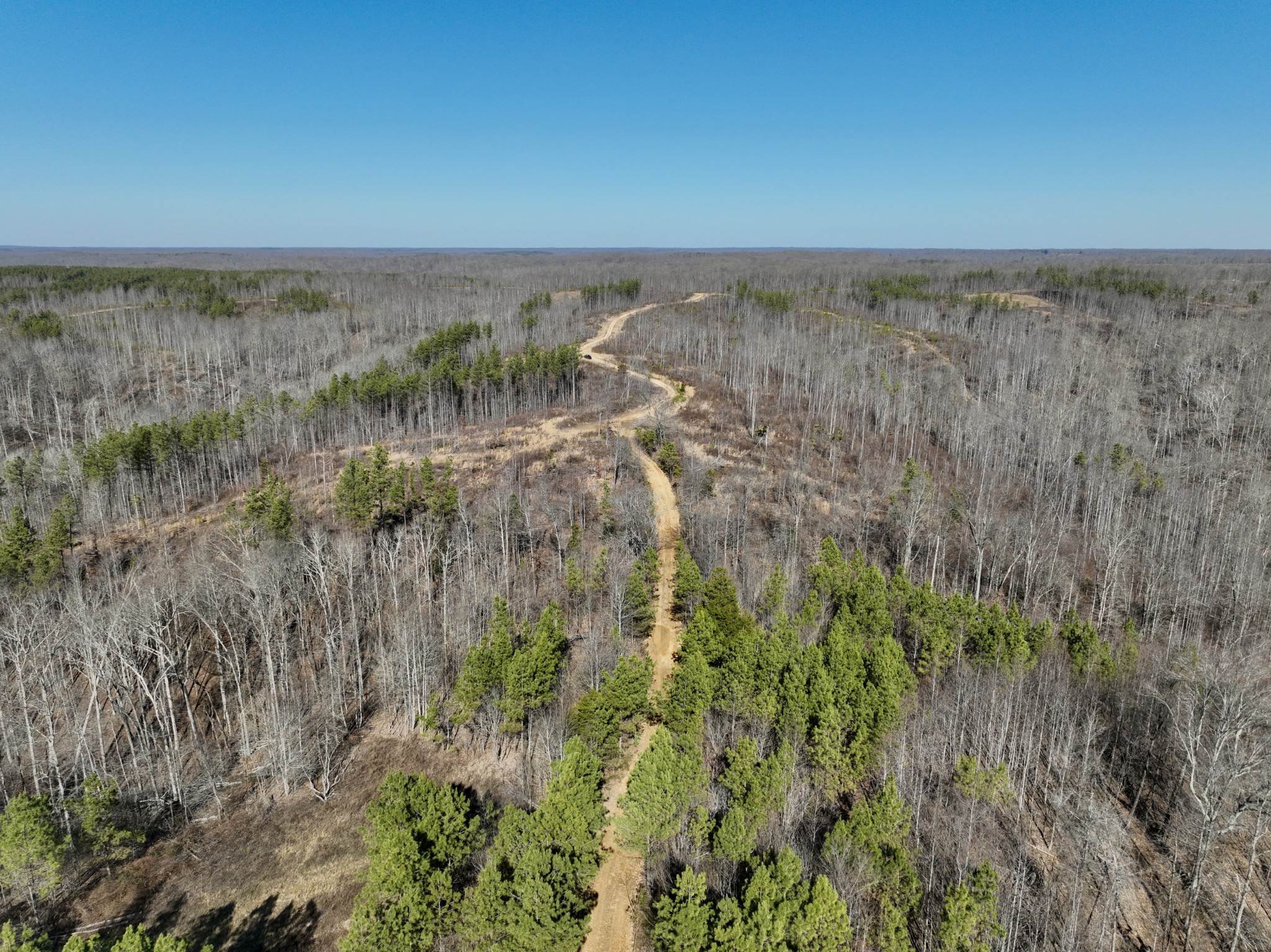 0 Cooley Ford Road Stewart, TN 37175 - Photo 18 of 32 a view of a green field with lots of bushes