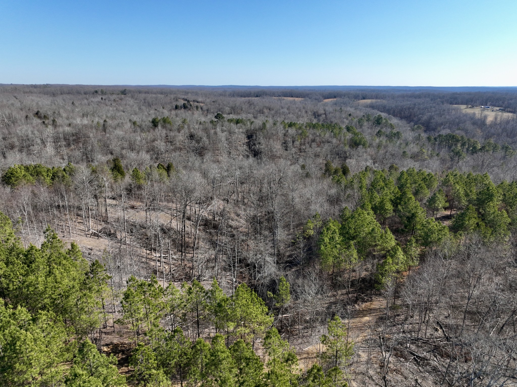 0 Cooley Ford Road Stewart, TN 37175 - Photo 19 of 32 a view of a big yard with lots of green space