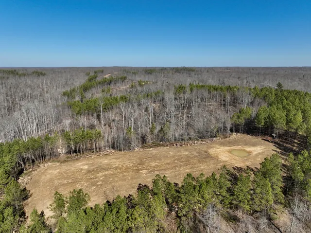 a view of a yard with an outdoor space