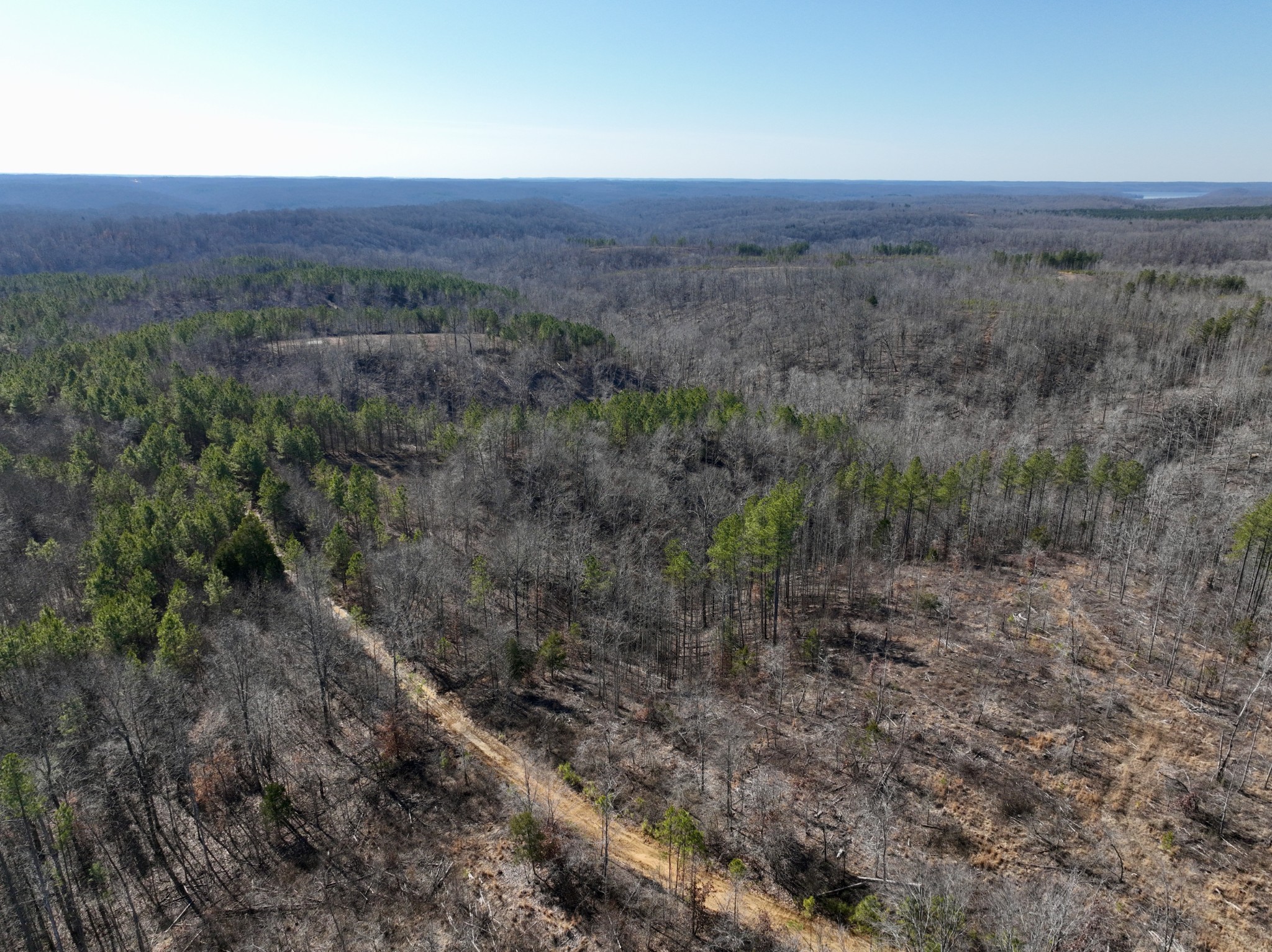 0 Cooley Ford Road Stewart, TN 37175 - Photo 26 of 32 a view of a field