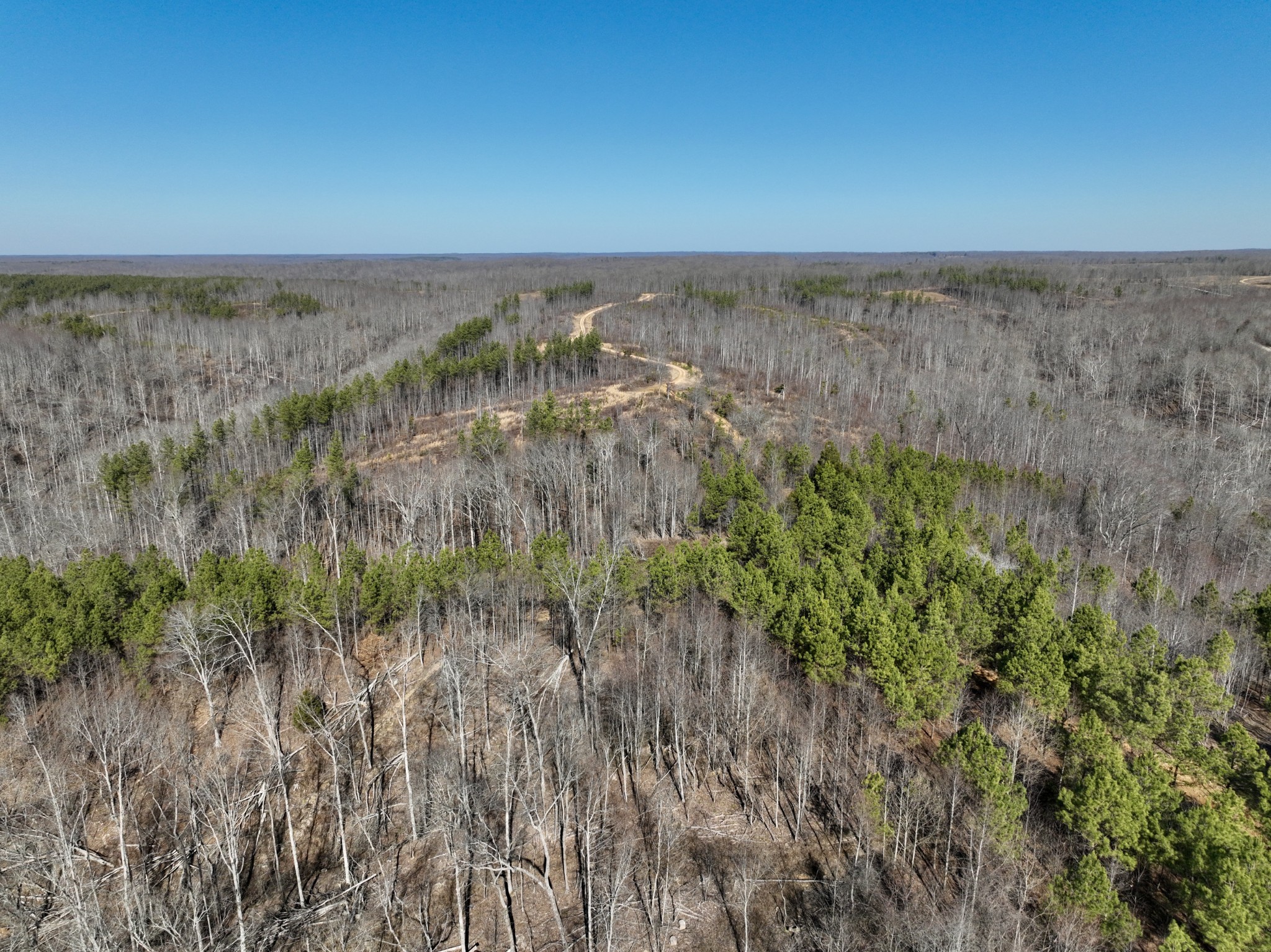 0 Cooley Ford Road Stewart, TN 37175 - Photo 29 of 32