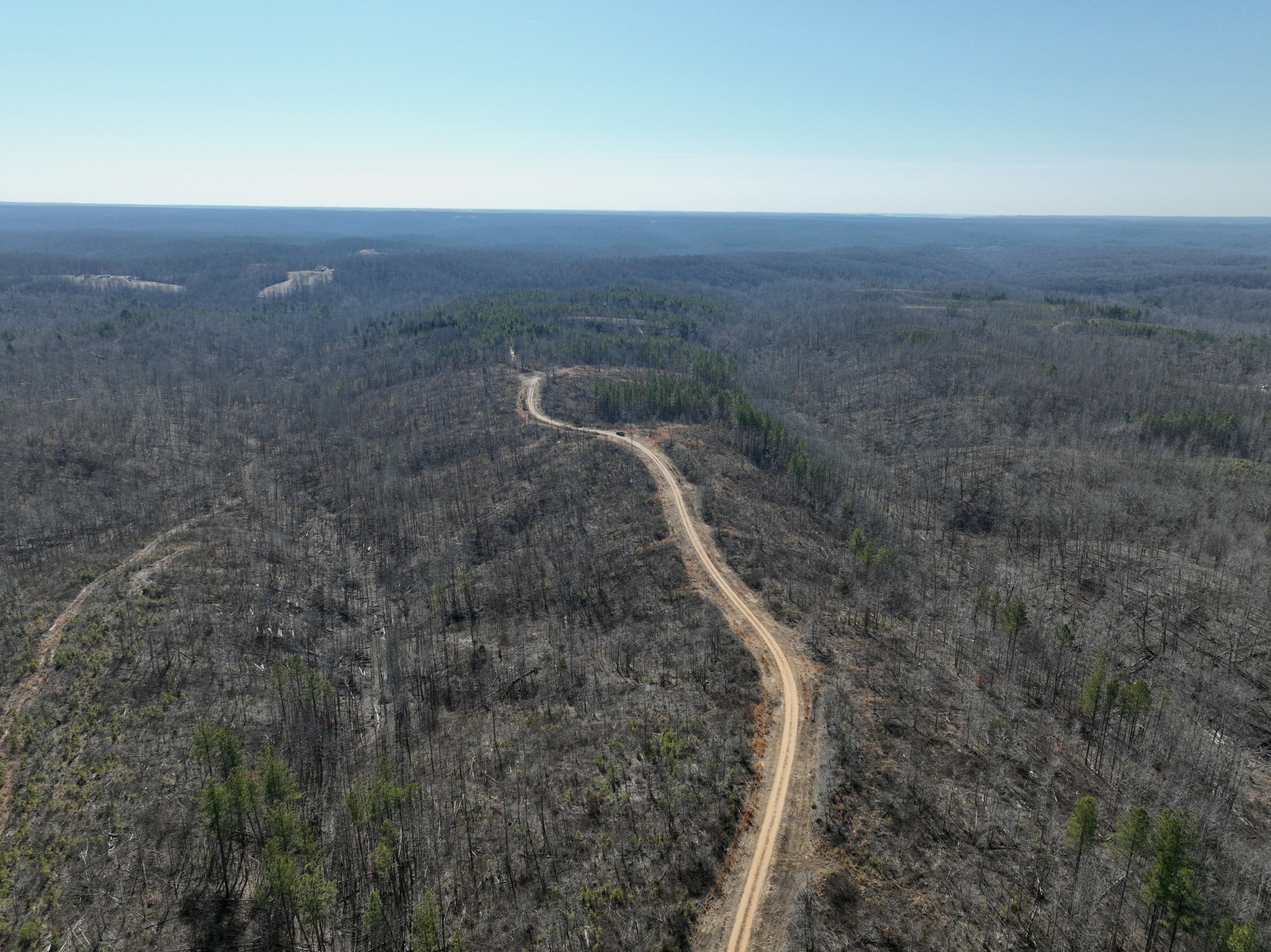 0 Cooley Ford Road Stewart, TN 37175 - Photo 4 of 32 a view of a dry yard with wooden floor and city view