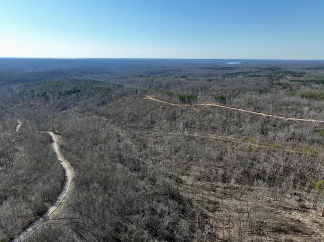 a view of a field with trees in background