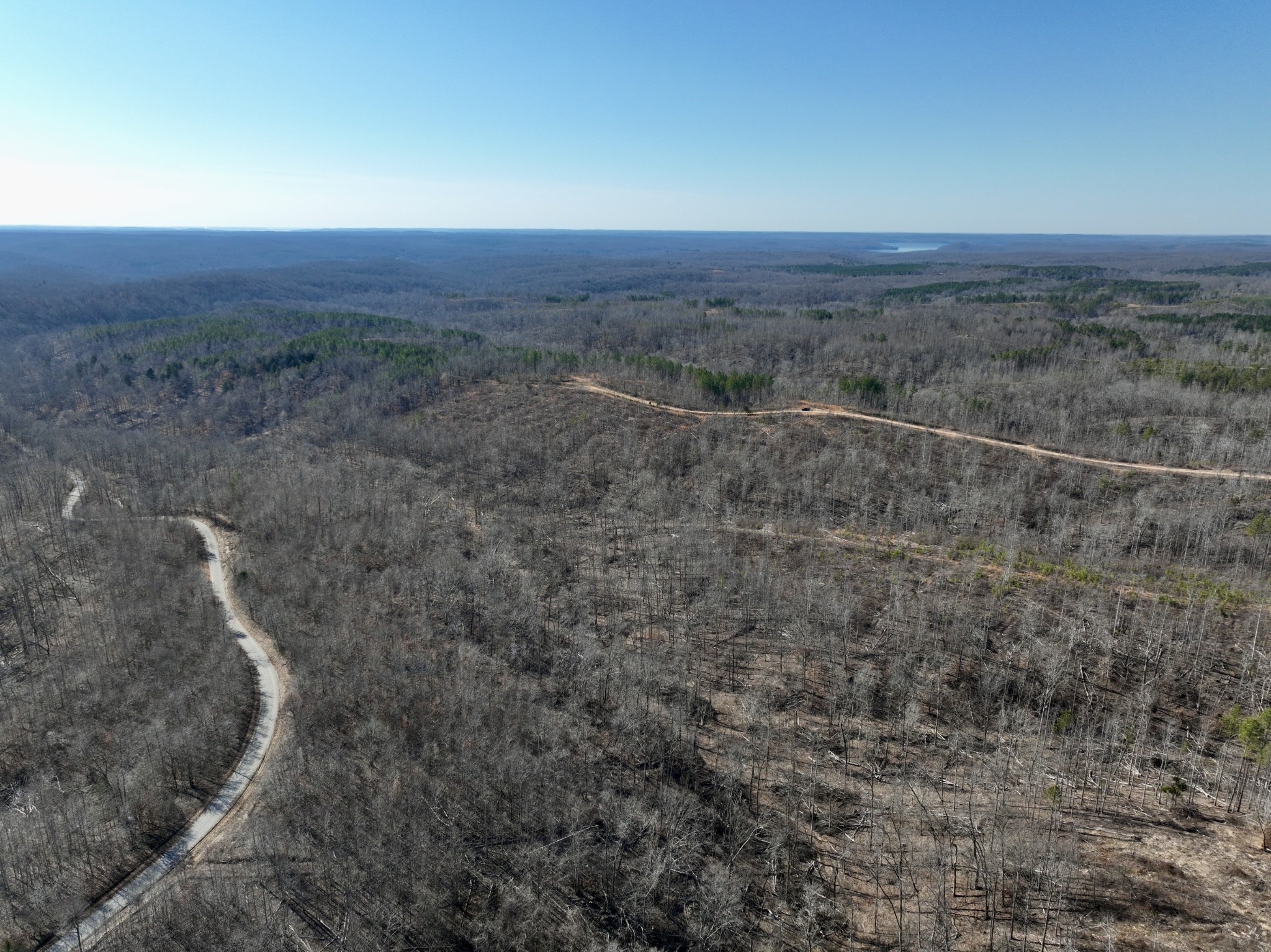 0 Cooley Ford Road Stewart, TN 37175 - Photo 5 of 32 a view of a field with trees in background