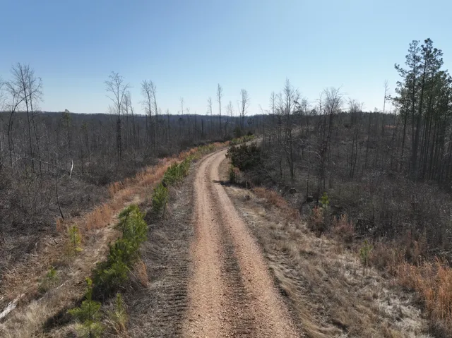 a view of a yard with wooden fence