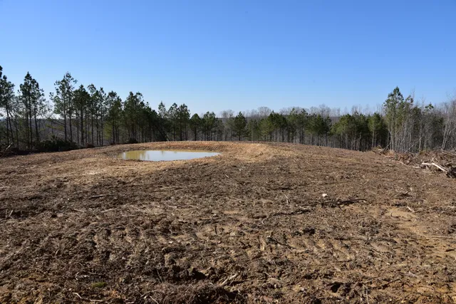 a view of outdoor space with trees all around
