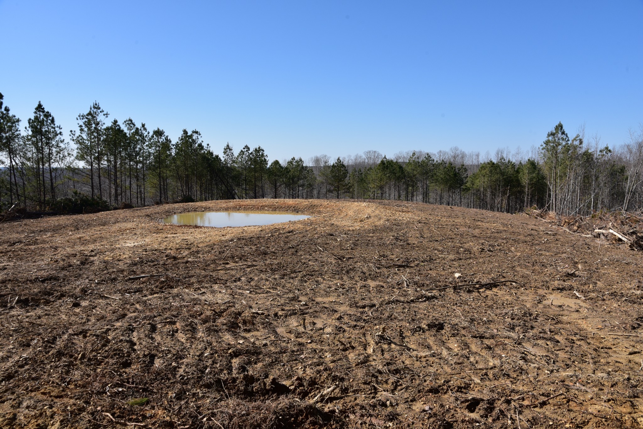 0 Cooley Ford Road Stewart, TN 37175 - Photo 9 of 32 a view of outdoor space with trees all around