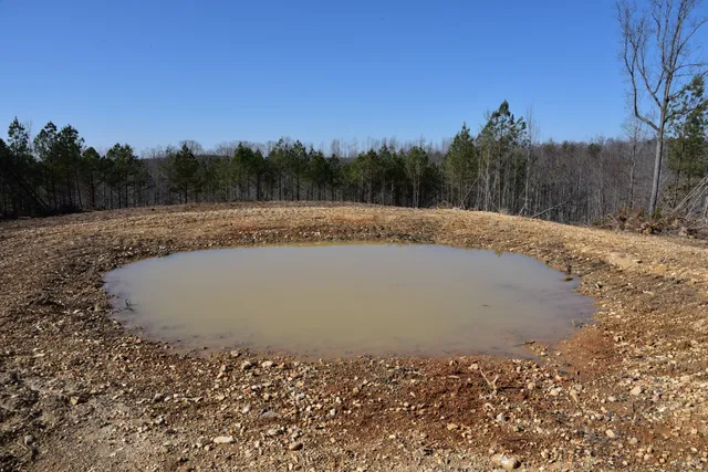 a view of a dry yard with wooden fence