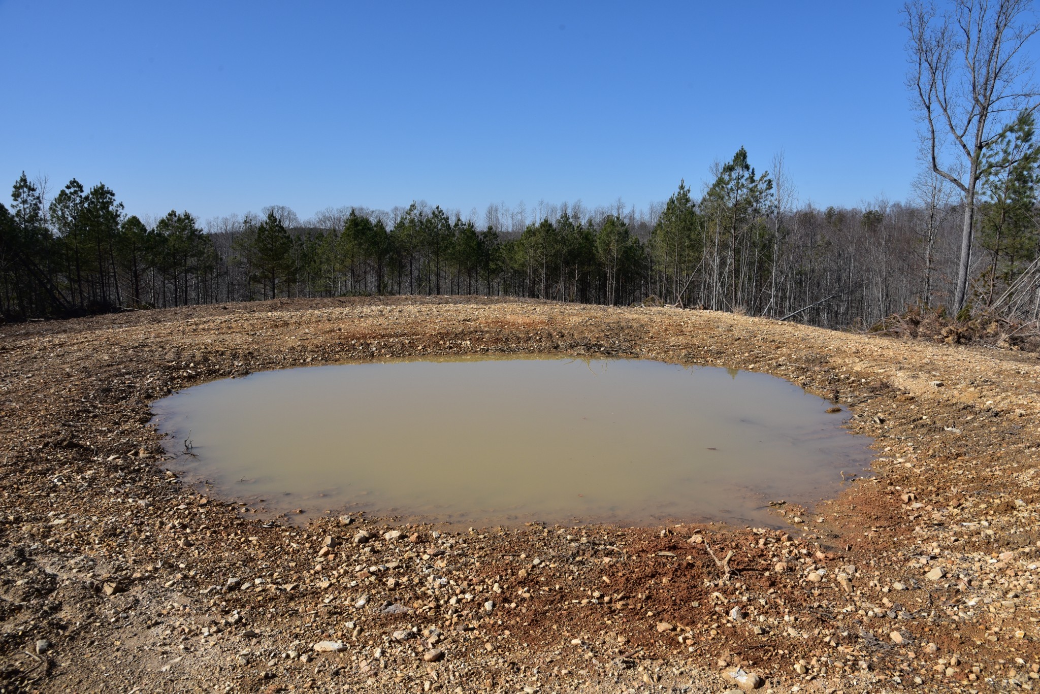 0 Cooley Ford Road Stewart, TN 37175 - Photo 10 of 32 a view of a dry yard with wooden fence