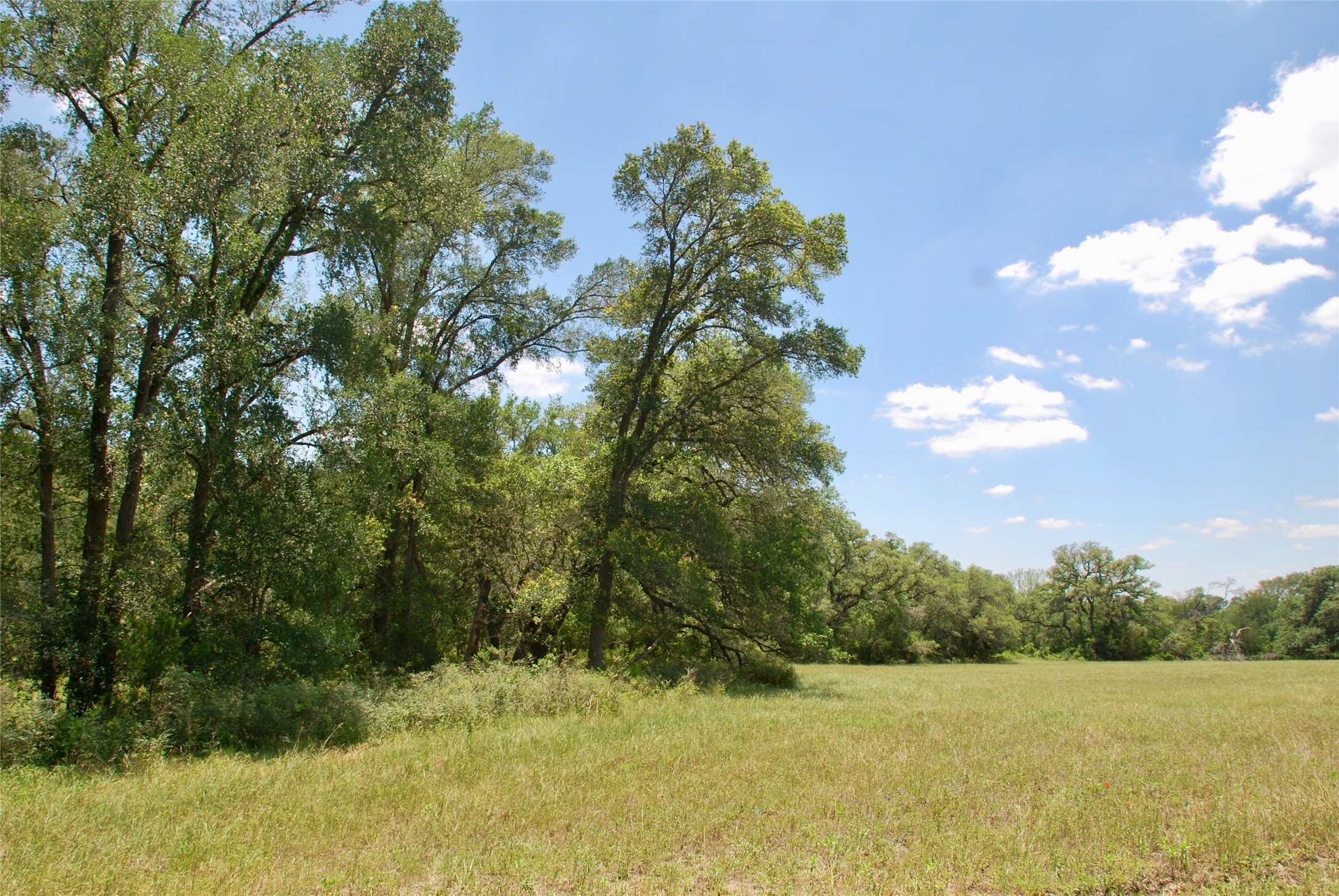 2116 Langdon Road Weimar, TX 78962 - Photo 28 of 43 a view of a yard with a house in the background