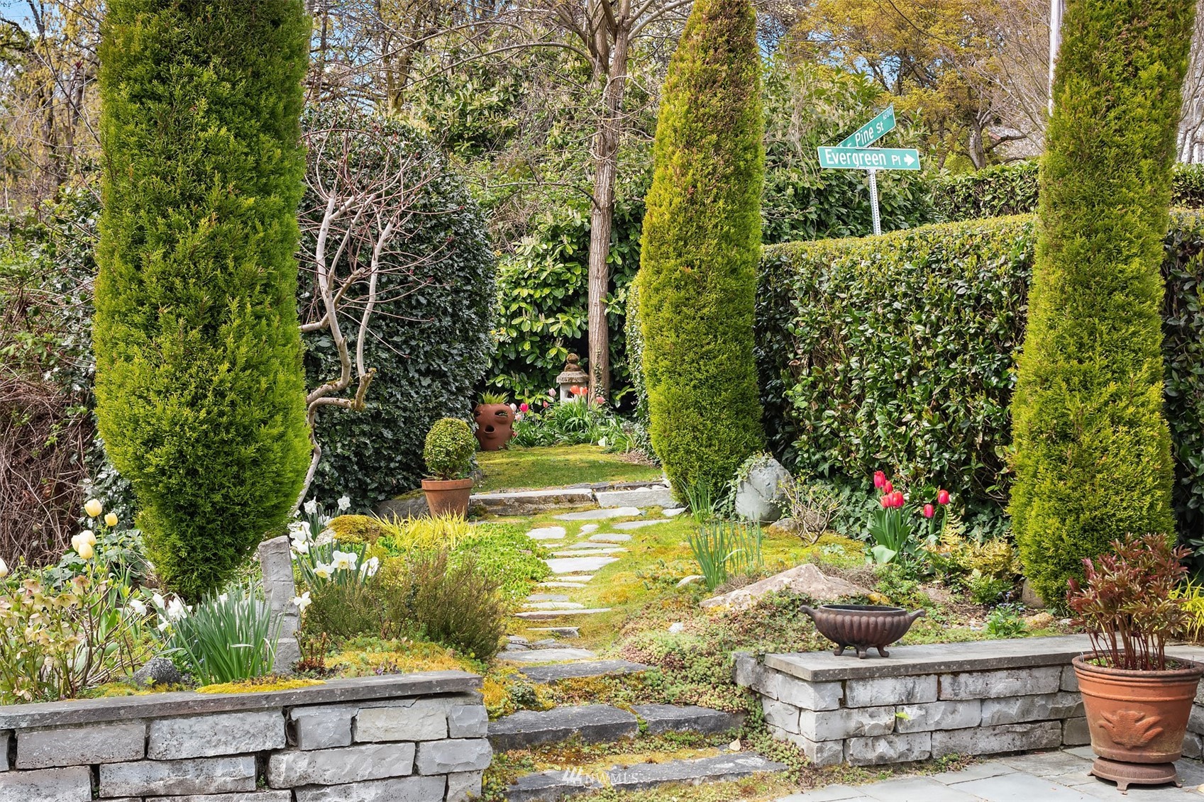 3915 East Pine Street Seattle, WA 98122 - Photo 18 of 32 a view of a garden with potted plants